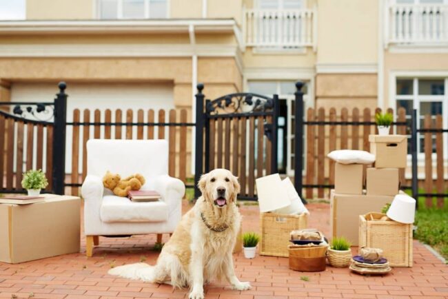 Moving Company